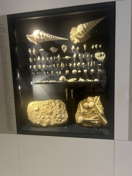 2026 09 Epernay (11)